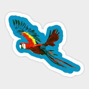 Scarlet Macaw 2 Sticker